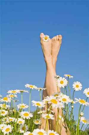 foot daisy - Woman legs sprouting from a bunch of daisies against blue sky Stock Photo - Budget Royalty-Free & Subscription, Code: 400-04067650