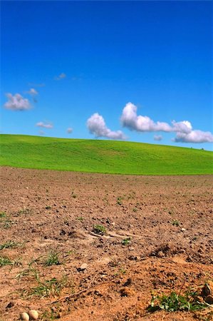 summer plough, focus set in foreground Stock Photo - Budget Royalty-Free & Subscription, Code: 400-04067838