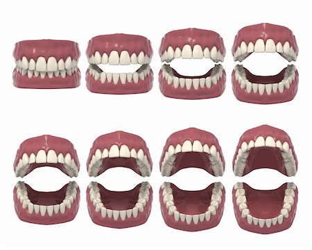 3d rendered dental prosthesis Stock Photo - Budget Royalty-Free & Subscription, Code: 400-04067854
