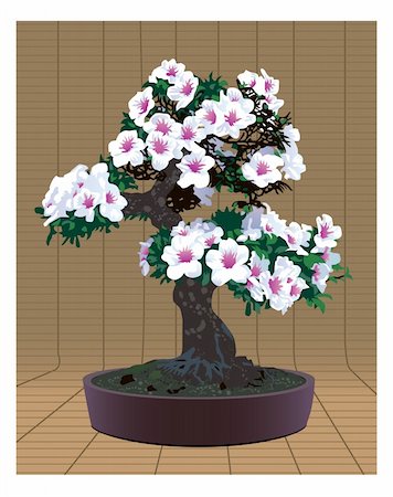 Bonsai tree with beautiful flowers Stock Photo - Budget Royalty-Free & Subscription, Code: 400-04067866