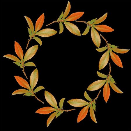 simsearch:400-04545260,k - Abstract circular design of a garland of bay leaves in the colors of autumn forming a border and set against a black background. Stock Photo - Budget Royalty-Free & Subscription, Code: 400-04067881