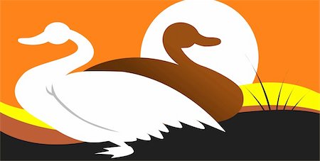 simsearch:400-04205862,k - Illustration of two swans Photographie de stock - Aubaine LD & Abonnement, Code: 400-04067993