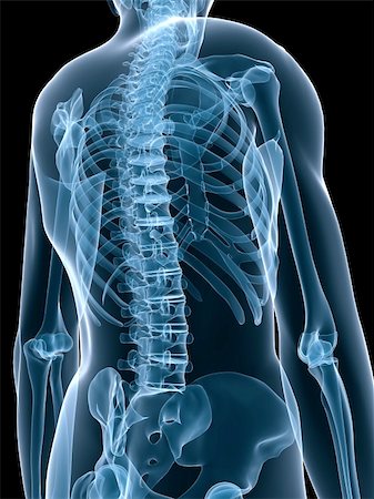 simsearch:400-04003518,k - 3d rendered x-ray illustration of a human skeleton Fotografie stock - Microstock e Abbonamento, Codice: 400-04068525