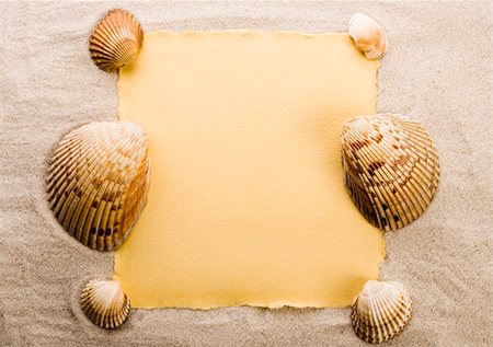 simsearch:400-06326801,k - Shell - The hard, rigid outer calcium carbonate animals cover is called a shell. Stock Photo - Budget Royalty-Free & Subscription, Code: 400-04068566