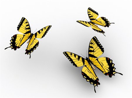 Three yellow butterflys on white background - 3d render Stock Photo - Budget Royalty-Free & Subscription, Code: 400-04069029