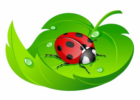 ladybug on white Stock Photo - Budget Royalty-Free & Subscription, Code: 400-04069261