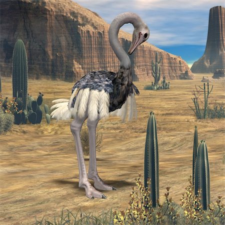 simsearch:400-04916917,k - 3D Render of an Ostrich Fotografie stock - Microstock e Abbonamento, Codice: 400-04069542