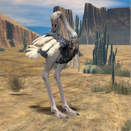 simsearch:400-04520488,k - 3D Render of an Ostrich Foto de stock - Super Valor sin royalties y Suscripción, Código: 400-04069543