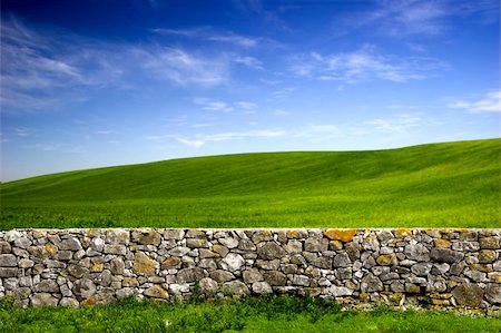 stone walls in meadows - Beautiful green meadow with a old Stone wall Stock Photo - Budget Royalty-Free & Subscription, Code: 400-04060068