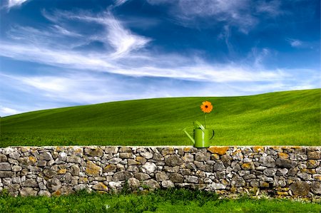 stone walls in meadows - Green watering can over a stone wall on a beautiful green meadow Stock Photo - Budget Royalty-Free & Subscription, Code: 400-04060085