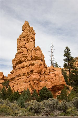 simsearch:400-04556587,k - Bryce Canyon National Park is located in southwestern Utah in the USA Foto de stock - Super Valor sin royalties y Suscripción, Código: 400-04060735