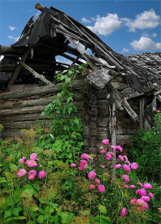 old house -  rose flowerses -  blue sky Stock Photo - Budget Royalty-Free & Subscription, Code: 400-04060827