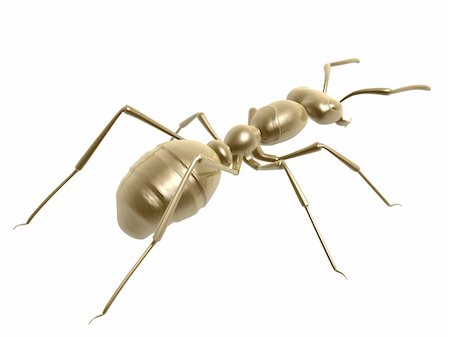 simsearch:400-08222144,k - 3d golden ant isolated on white background Stockbilder - Microstock & Abonnement, Bildnummer: 400-04061050