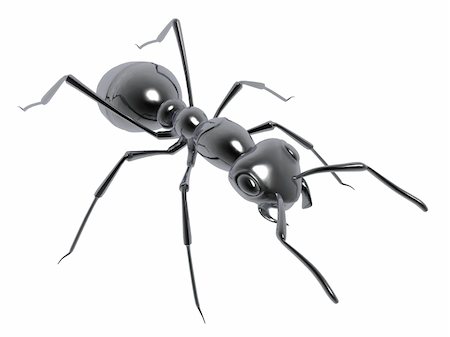 simsearch:400-08222144,k - 3d black ant isolated on white background Stockbilder - Microstock & Abonnement, Bildnummer: 400-04061051