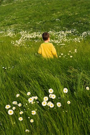 Boy walking in the tall green grass spotted with daisies Foto de stock - Super Valor sin royalties y Suscripción, Código: 400-04062299