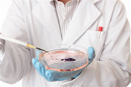 simsearch:400-04962353,k - Clinical or pharmaceutical studies, medical or scientific research, forensic investigation, etc.  Focus to pipette and petri dish.  Shallow dof. Stock Photo - Budget Royalty-Free & Subscription, Code: 400-04062302