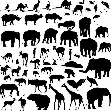Lots of Animal vector silhouettes Photographie de stock - Aubaine LD & Abonnement, Code: 400-04062545