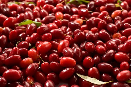 Cornelian cherries, background of nature with liaves Stock Photo - Budget Royalty-Free & Subscription, Code: 400-04063527