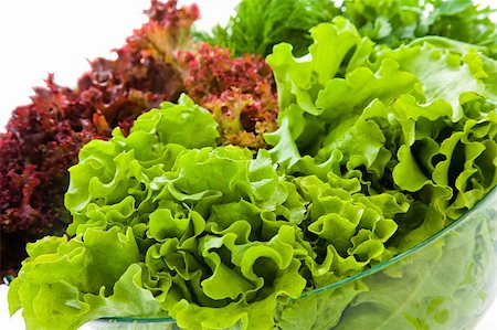 simsearch:400-05369257,k - Some bunches of fresh salads in a glass bowl Photographie de stock - Aubaine LD & Abonnement, Code: 400-04076198