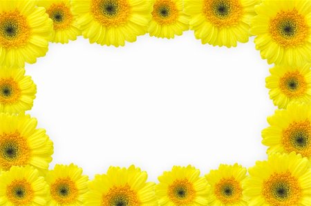 simsearch:400-04545260,k - flowers frame (gerbers) Stock Photo - Budget Royalty-Free & Subscription, Code: 400-04078871
