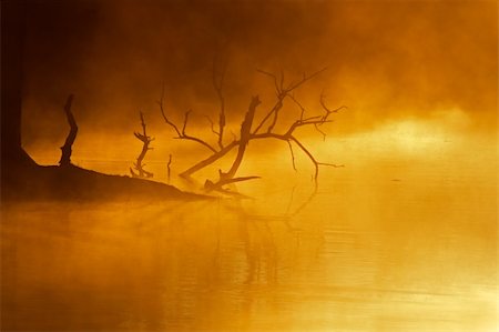simsearch:400-04470445,k - Mist over water, early morning, Kruger National Park, South Africa Stockbilder - Microstock & Abonnement, Bildnummer: 400-04071710
