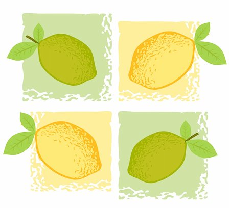 drawing lemon - Citrus Wallpaper Stock Photo - Budget Royalty-Free & Subscription, Code: 400-04072068