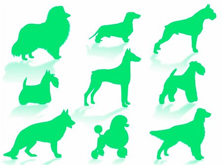 Dogs silhouette to represent different dog breeds Stock Photo - Budget Royalty-Free & Subscription, Code: 400-04072975