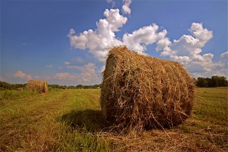 simsearch:400-04736849,k - Fine rural landscape photo Stockbilder - Microstock & Abonnement, Bildnummer: 400-04073091