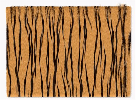 Background from fur of a tiger. Brown color. Stock Photo - Budget Royalty-Free & Subscription, Code: 400-04073189