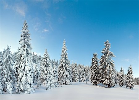 simsearch:400-04319458,k - winter calm mountain landscape with snow-covered spruce-trees on a forefront. Four shots stitch image. Stock Photo - Budget Royalty-Free & Subscription, Code: 400-04084831