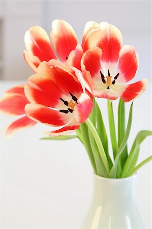simsearch:400-06356460,k - Home appliance - beautiful tulips in vase on the table Foto de stock - Super Valor sin royalties y Suscripción, Código: 400-04084866