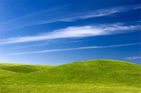 simsearch:400-06143114,k - beautiful meadow with Green grass and blue sky Fotografie stock - Microstock e Abbonamento, Codice: 400-04087925