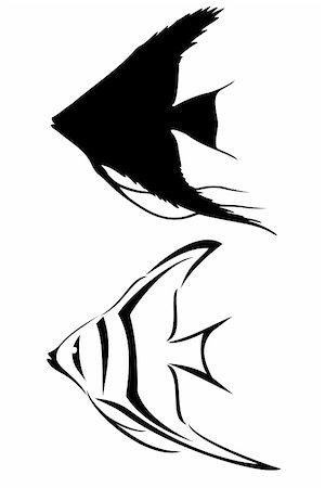poisson-ange - A black tribal angelfish tattoo Photographie de stock - Aubaine LD & Abonnement, Code: 400-04089848