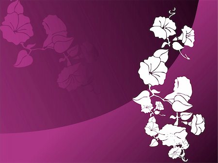 simsearch:400-08198402,k - abstract vector wallpaper of floral themes in gradient purple Foto de stock - Super Valor sin royalties y Suscripción, Código: 400-04080486