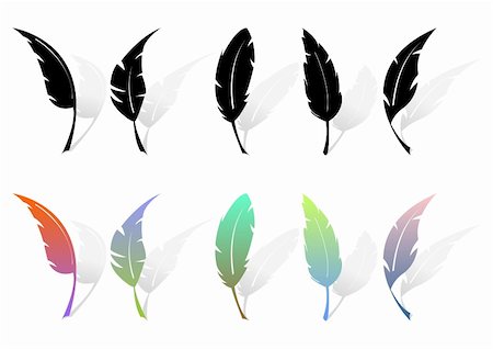 poetry - Different feather silhouettes and colored feathers over white Stock Photo - Budget Royalty-Free & Subscription, Code: 400-04080571