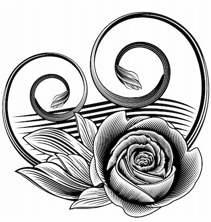 Abstract ornamental rose for design. Vector floral illustration Foto de stock - Super Valor sin royalties y Suscripción, Código: 400-04080757