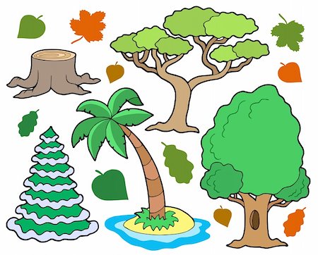 simsearch:400-08379558,k - Various trees collection 1 - vector illustration. Fotografie stock - Microstock e Abbonamento, Codice: 400-04081109