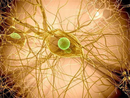 3d rendered close up of an isolated nerve cell Stock Photo - Budget Royalty-Free & Subscription, Code: 400-04081645