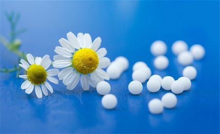 Chamomile flower and homeopathic medication on blue surface Stock Photo - Budget Royalty-Free & Subscription, Code: 400-04082515