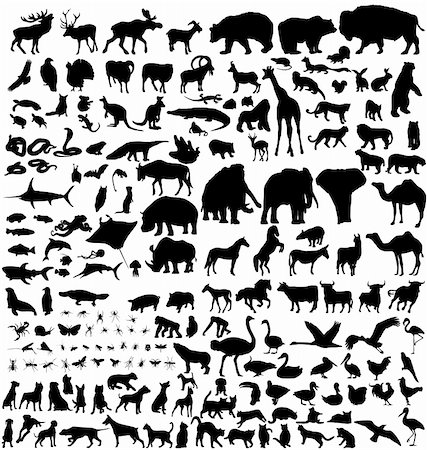 simsearch:400-07626711,k - detailed silhouettes of many animals Stock Photo - Budget Royalty-Free & Subscription, Code: 400-04094850