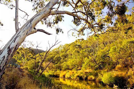 simsearch:400-04016295,k - Cudlee Creek in South Australia Stockbilder - Microstock & Abonnement, Bildnummer: 400-04094970