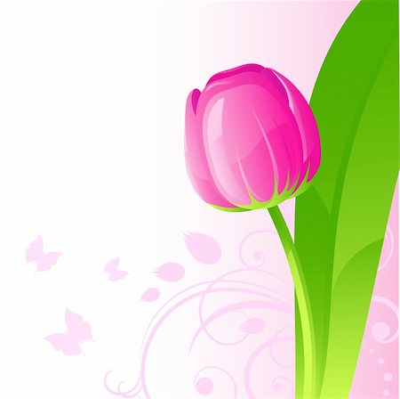 simsearch:400-04258779,k - Background with pink tulip, vector Stock Photo - Budget Royalty-Free & Subscription, Code: 400-04096631