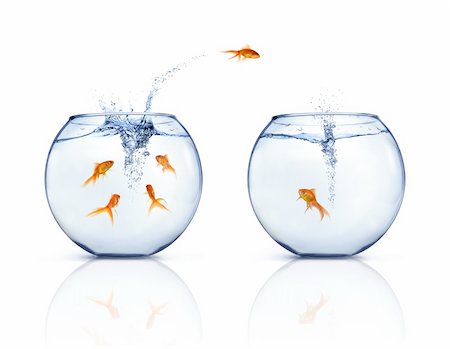 A goldfishes jumping out of fishbowl to other fishbowl. White background. Stock Photo - Budget Royalty-Free & Subscription, Code: 400-04098437