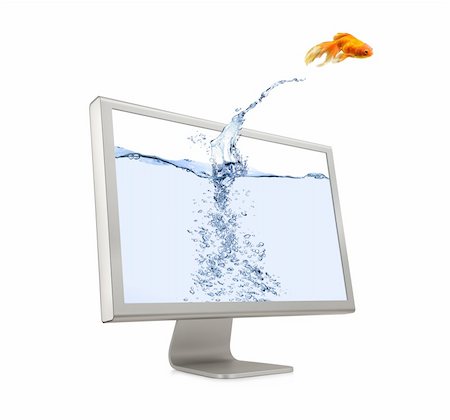 A goldfish jumping out of computer monitor to escape to real world on white background. Stock Photo - Budget Royalty-Free & Subscription, Code: 400-04098439