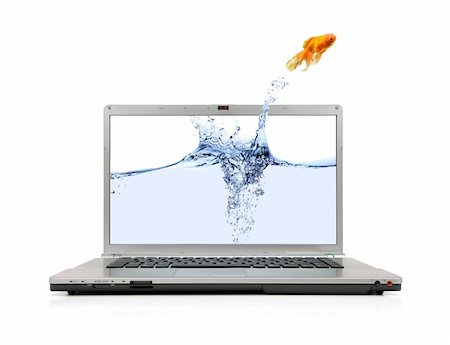 A goldfish jumping out of laptop screen to escape to real world on white background. Stock Photo - Budget Royalty-Free & Subscription, Code: 400-04098431