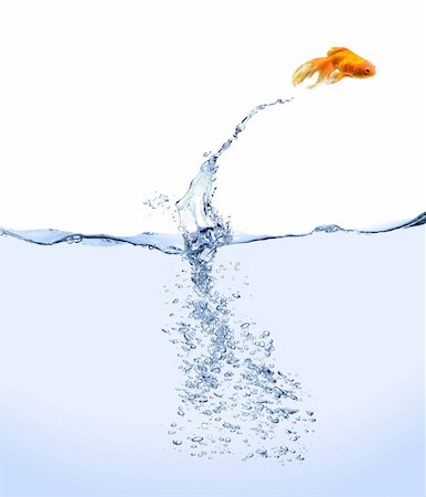 A goldfish jumping out of the water. Stock Photo - Budget Royalty-Free & Subscription, Code: 400-04098441