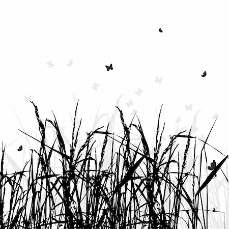 simsearch:400-04595369,k - Grass silhouette black, background Stockbilder - Microstock & Abonnement, Bildnummer: 400-04099917