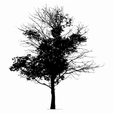 simsearch:400-06199703,k - Tree silhouette black Foto de stock - Super Valor sin royalties y Suscripción, Código: 400-04099967