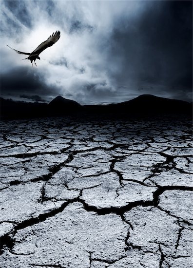 A bird flies over a desolate landscape Foto de stock - Sin royalties, Artista: kwest, Código de la imagen: 400-04090108