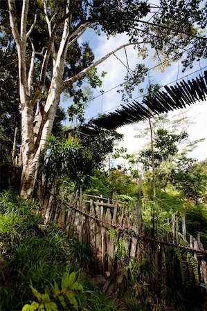 A hanging bridge over a montain stream Stock Photo - Budget Royalty-Free & Subscription, Code: 400-04091104